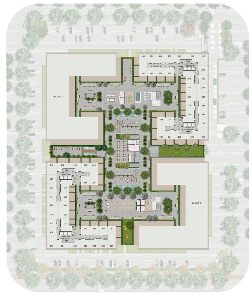 Planta 11