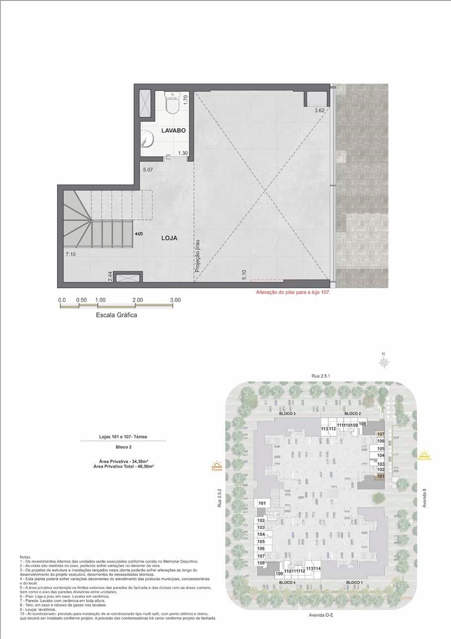 Planta 9