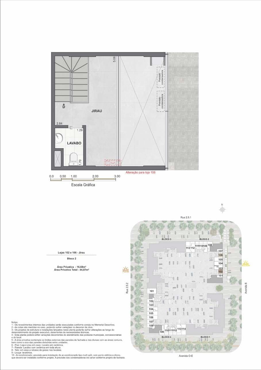 Planta 8