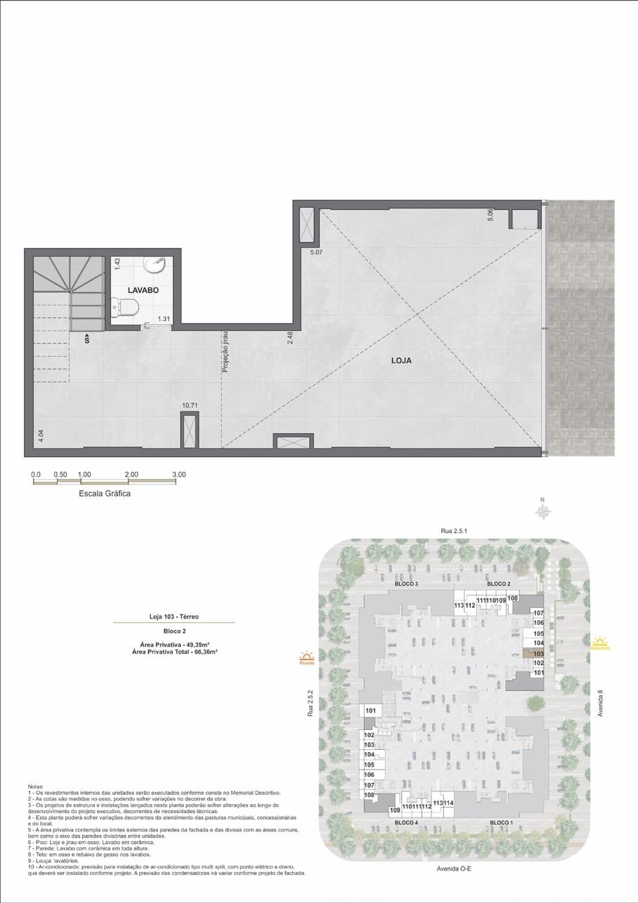 Planta 6