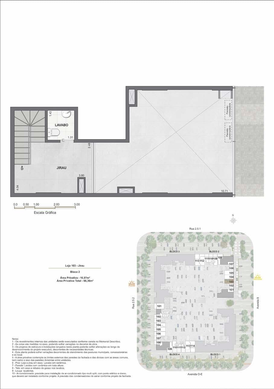 Planta 5
