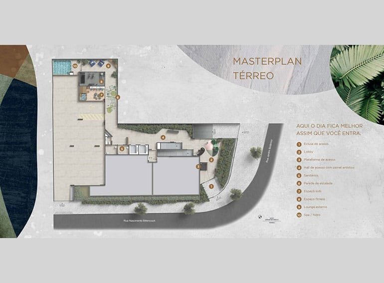 Planta 6