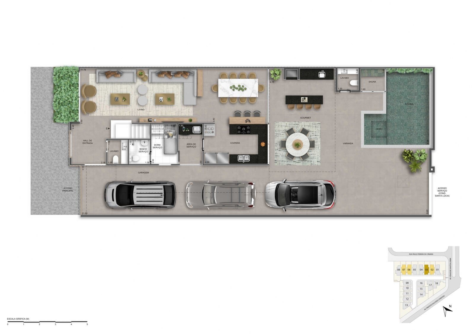 Planta 33