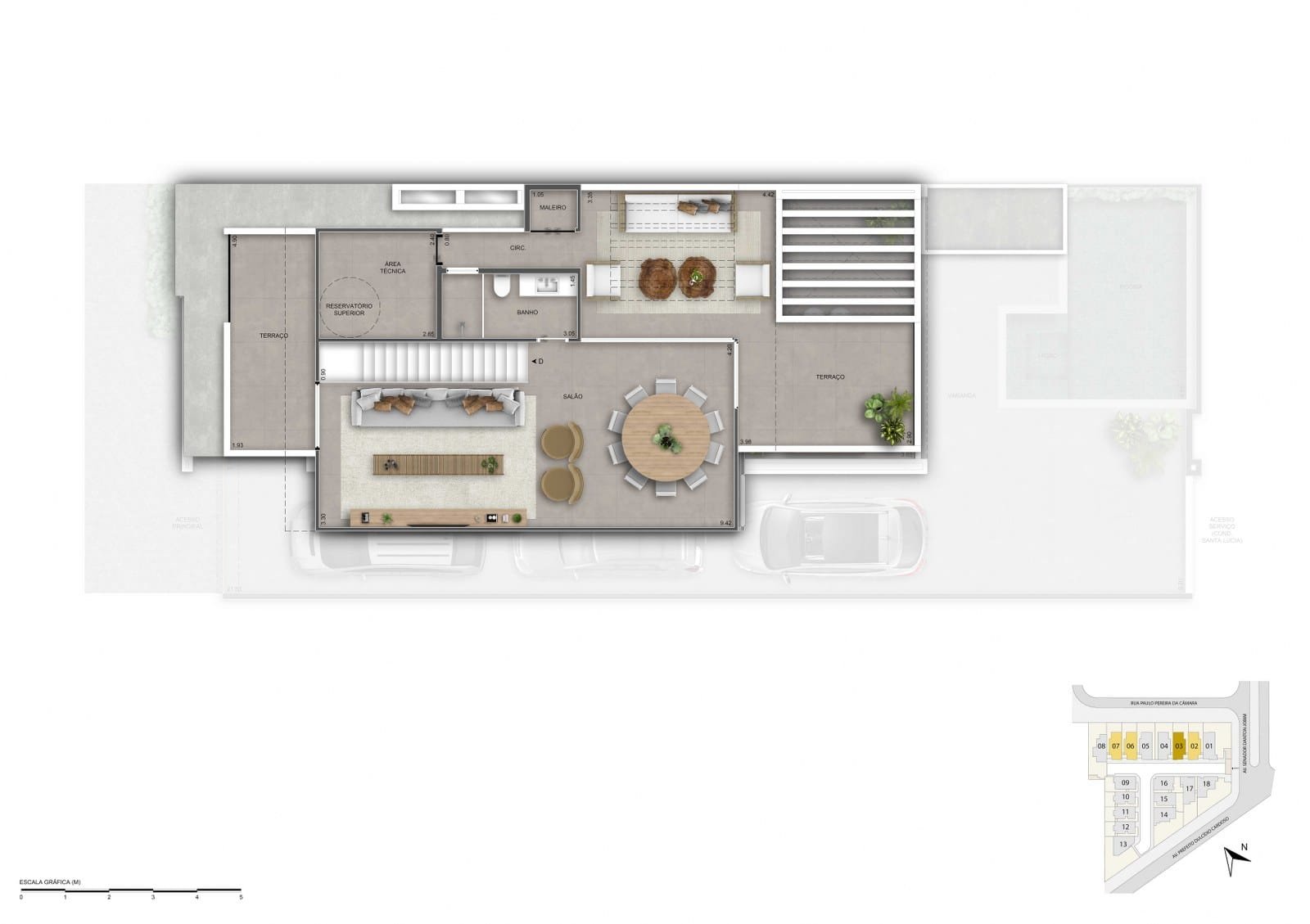 Planta 31