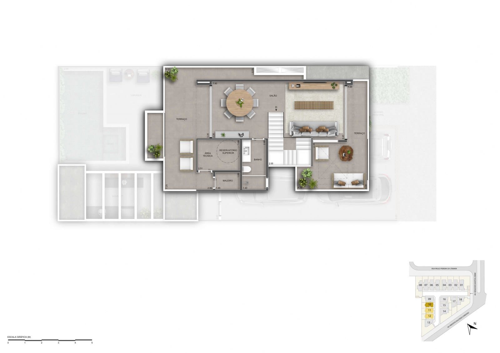 Planta 20