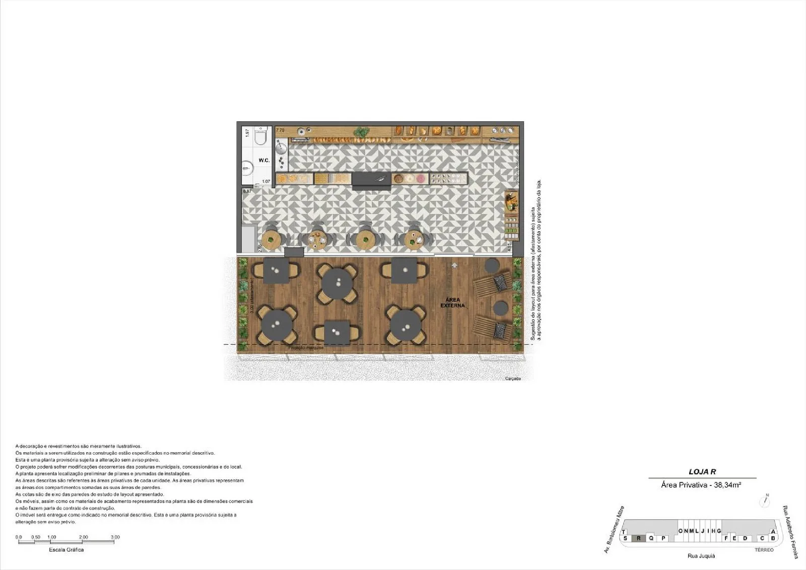 Planta 31