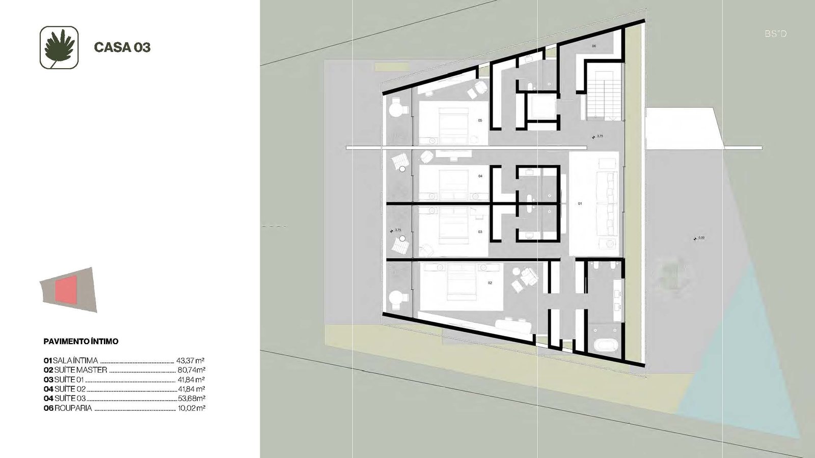 Planta 11