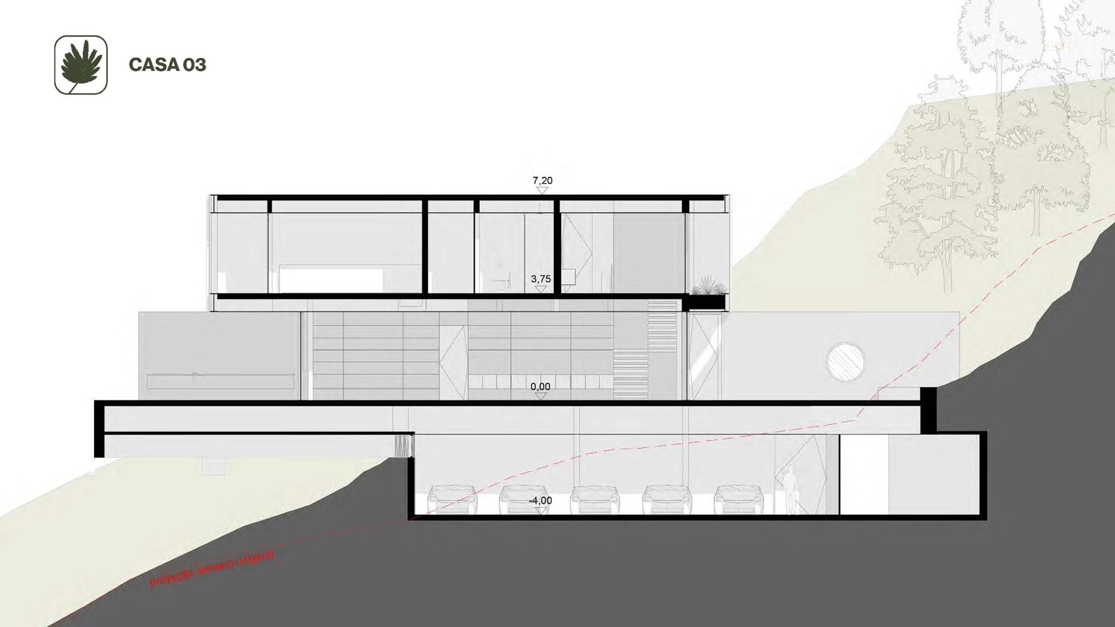 Planta 12