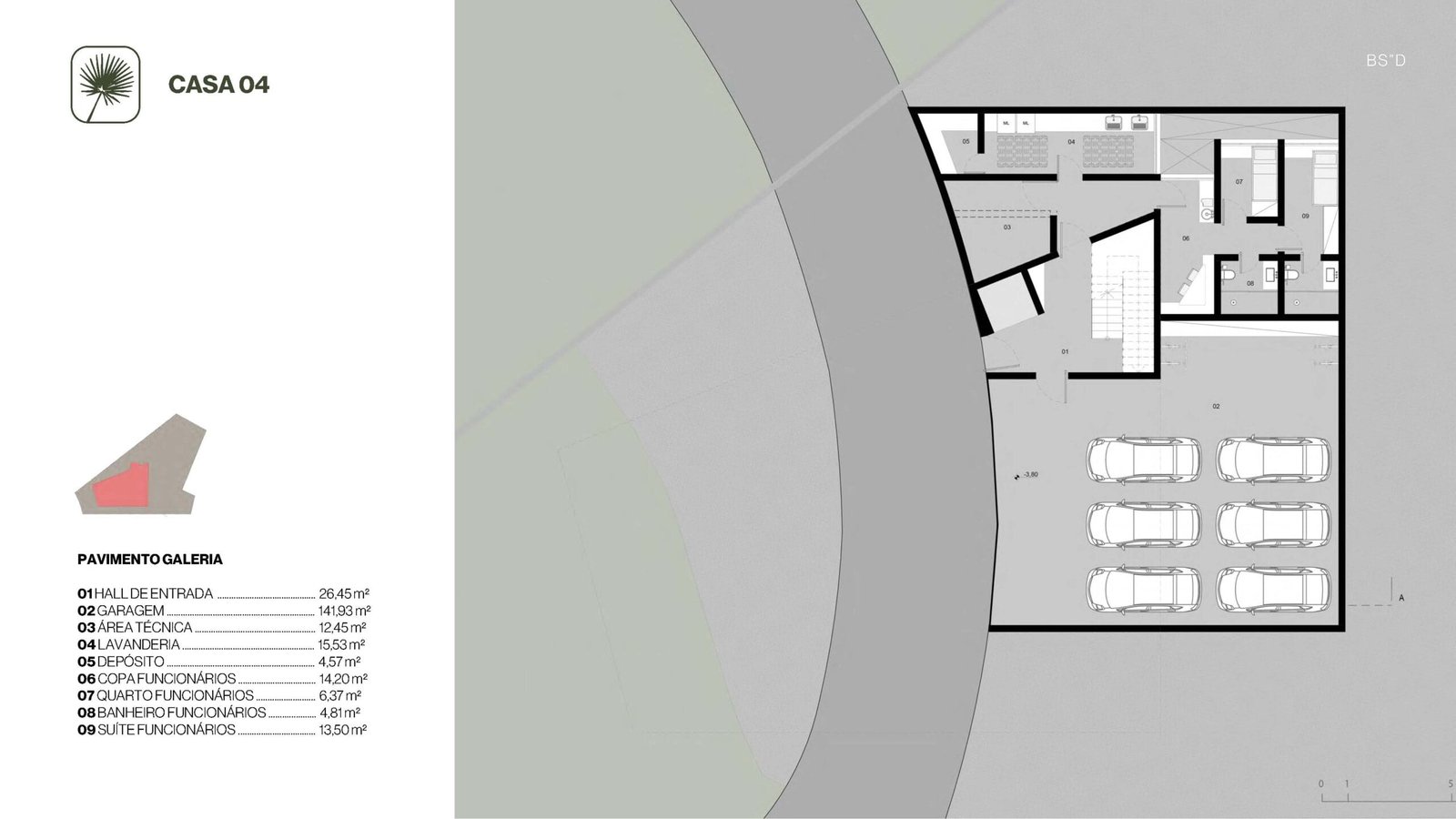 Planta 13