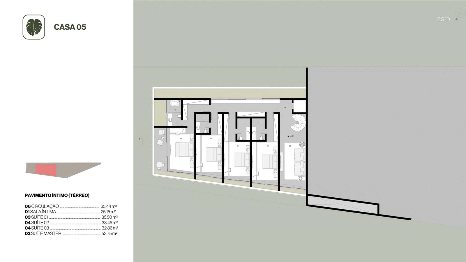 Planta 18