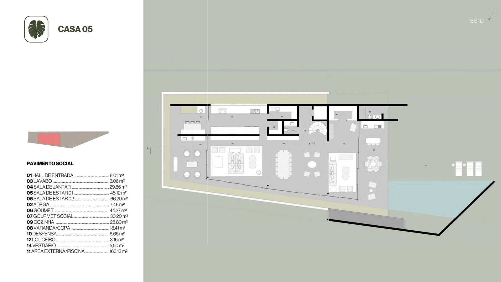 Planta 19