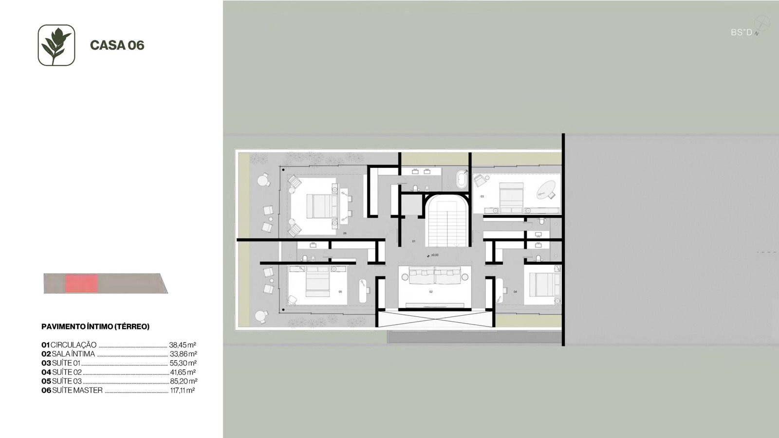 Planta 22