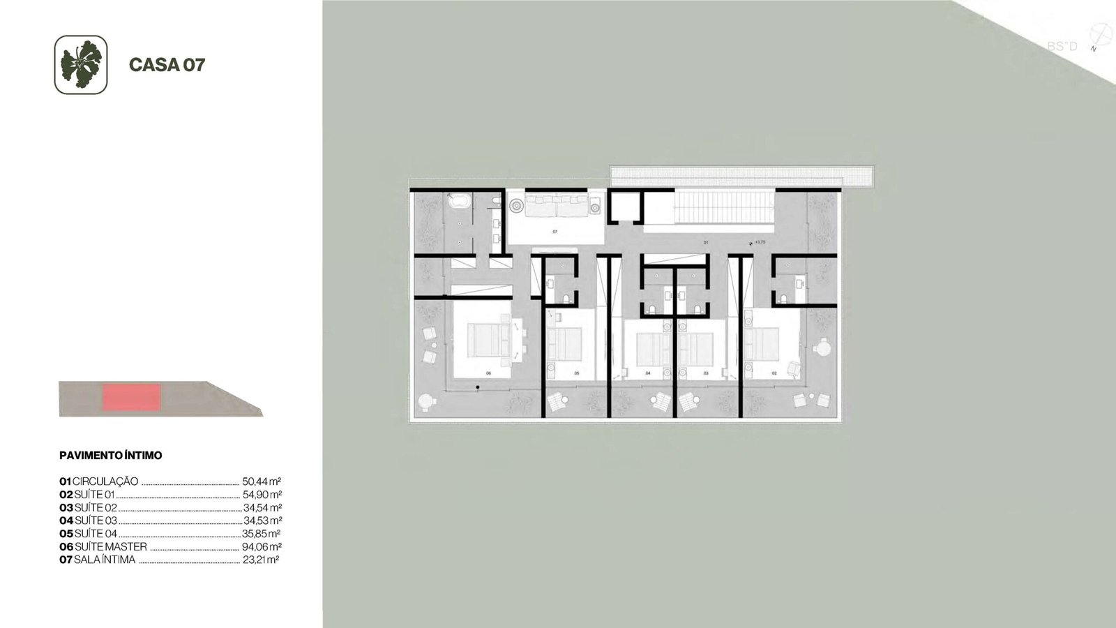 Planta 27