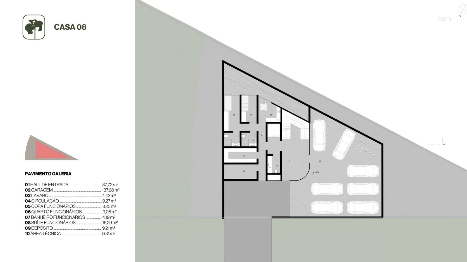 Planta 30