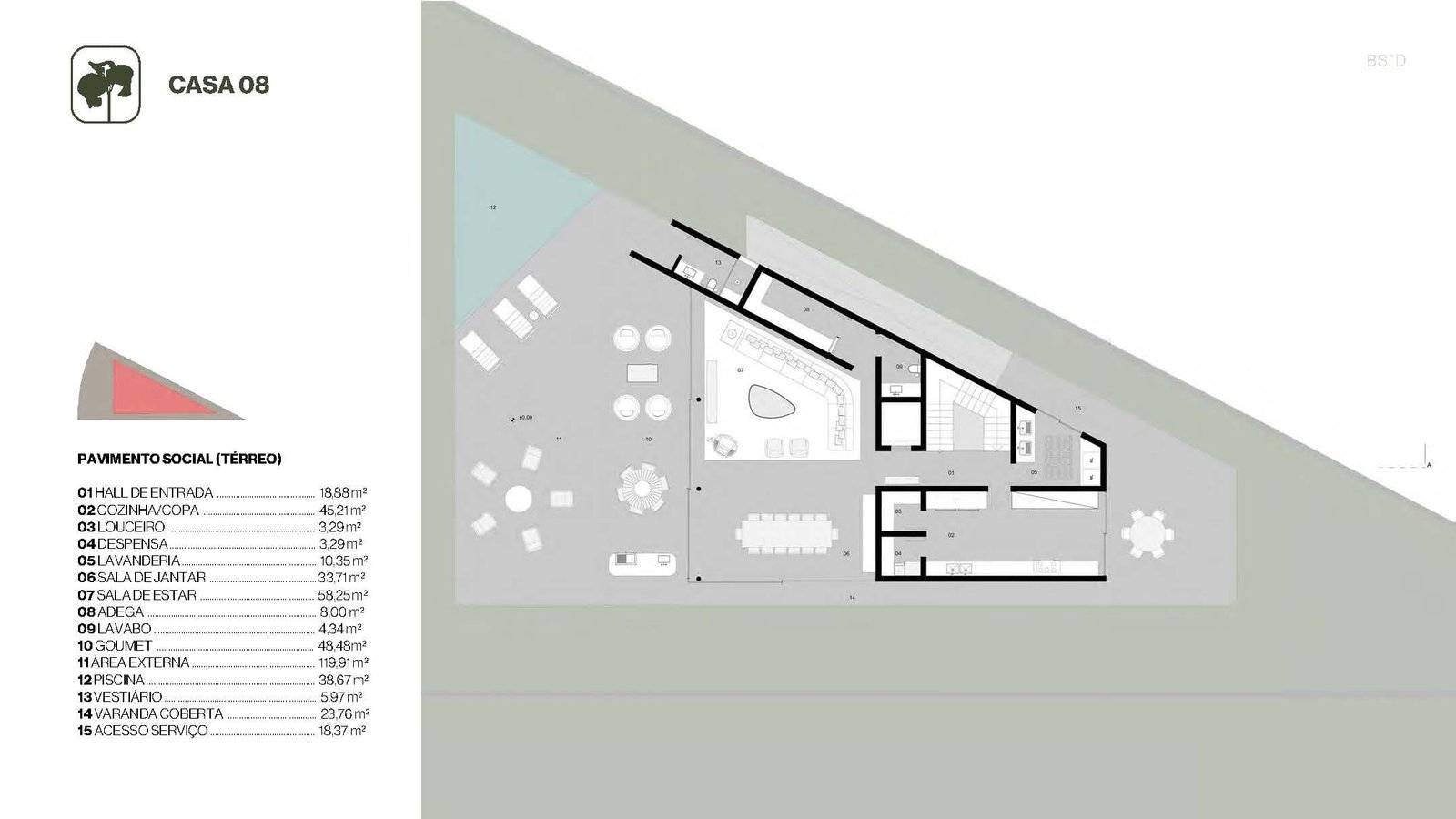 Planta 29