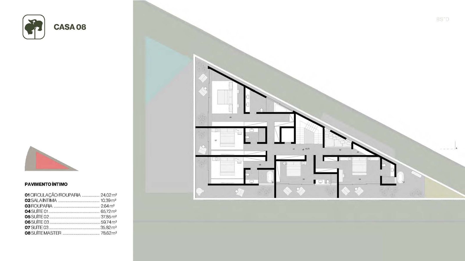 Planta 31