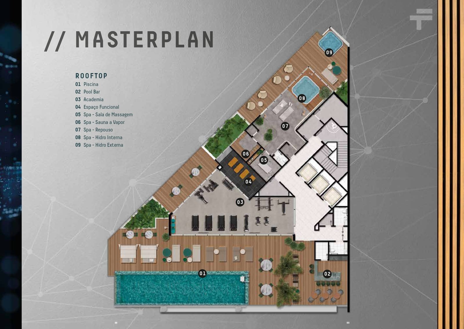 Planta 6