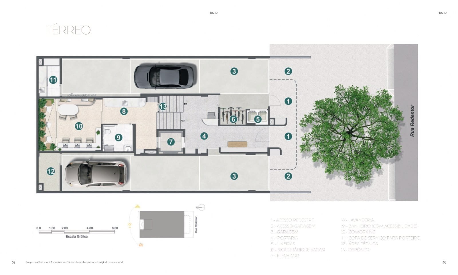 Planta 9