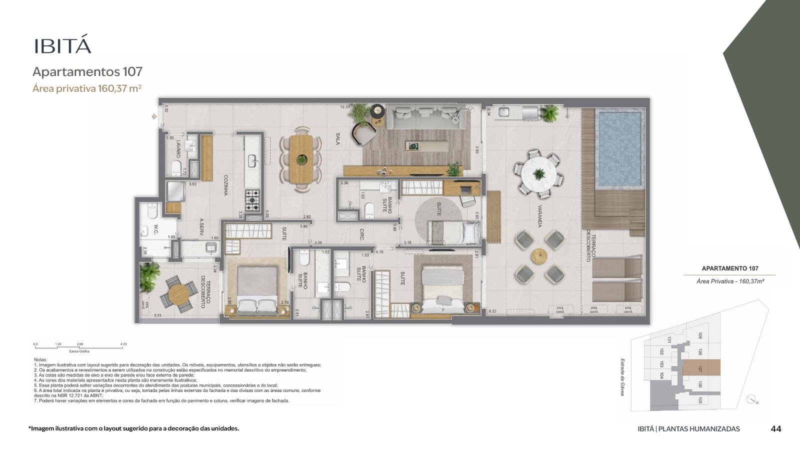 Planta 35
