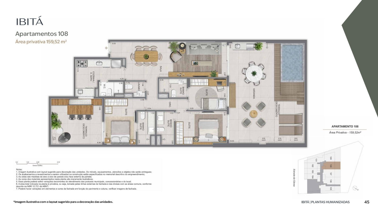 Planta 33