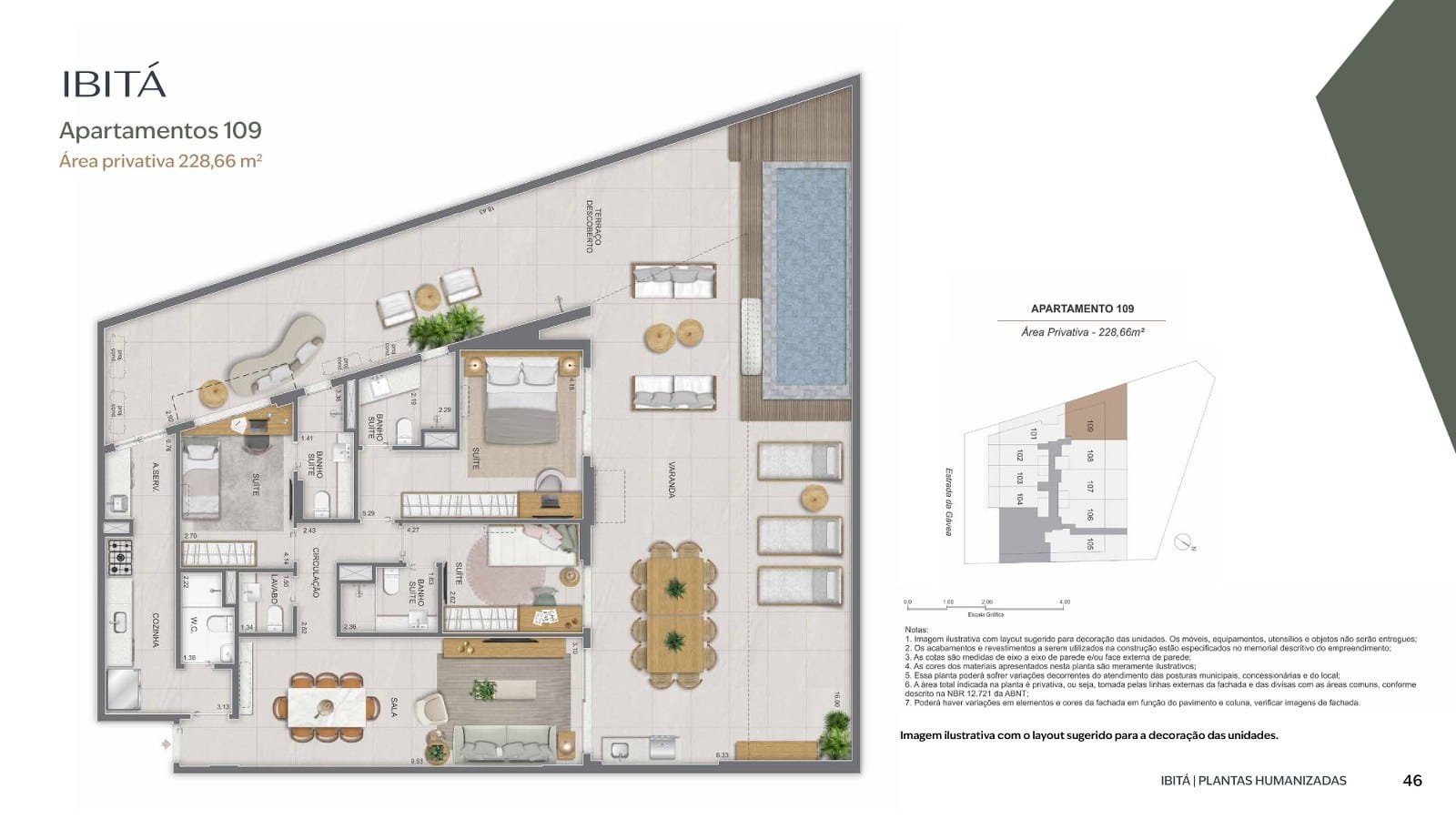 Planta 34
