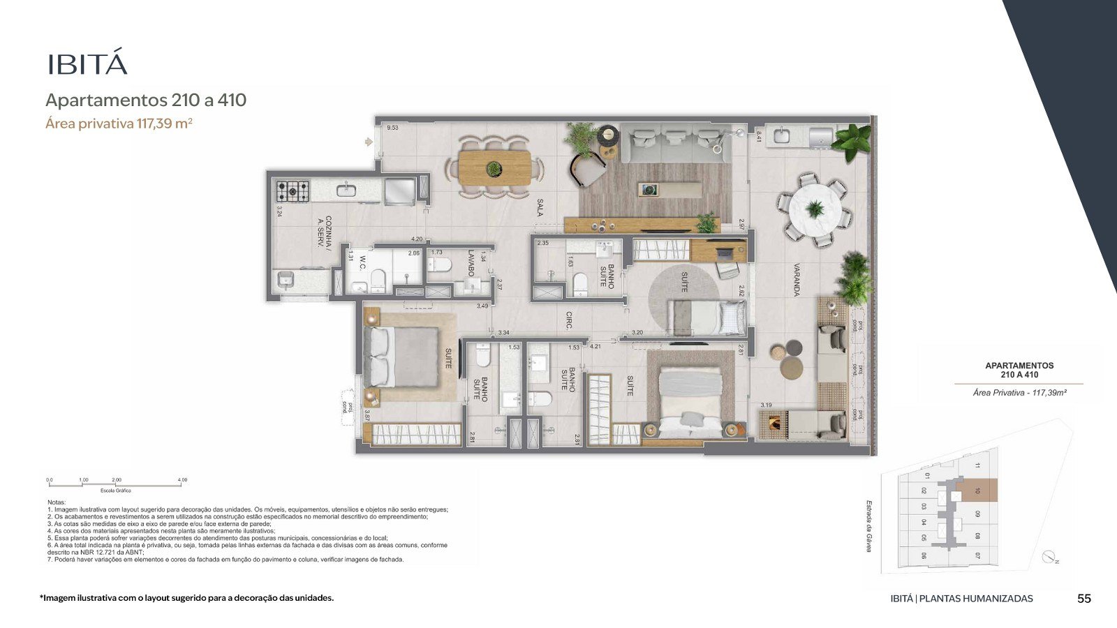 Planta 25
