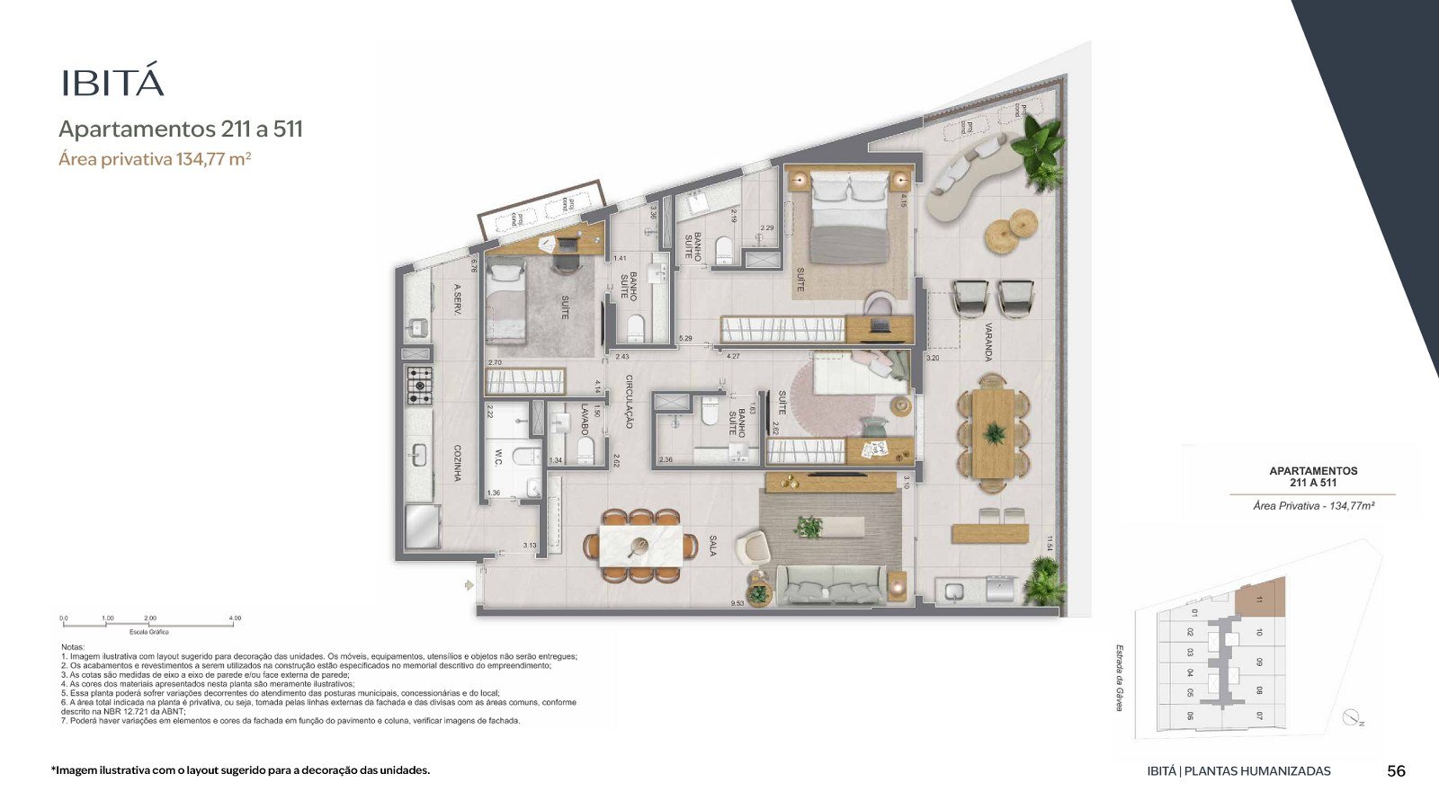 Planta 24