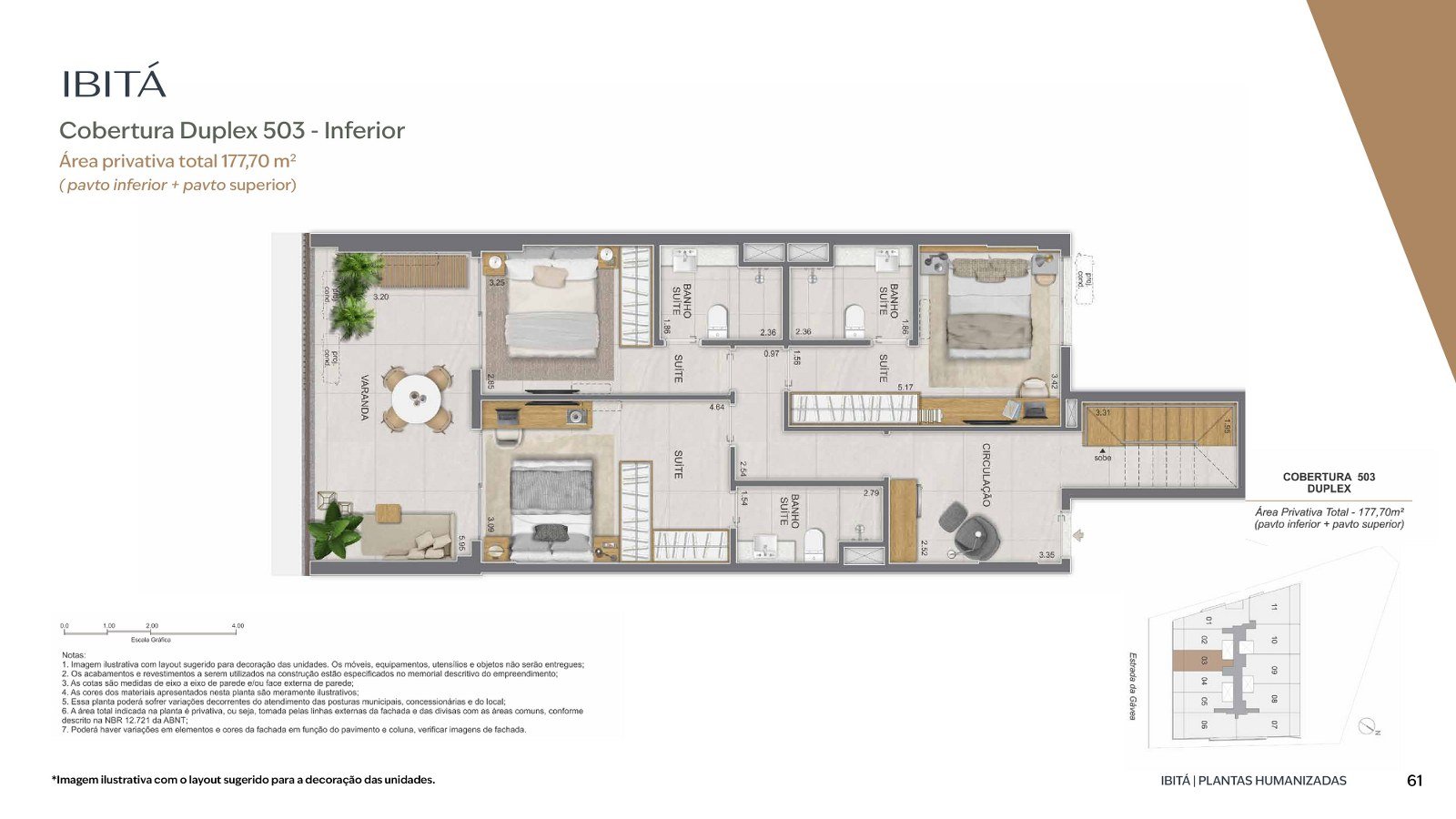 Planta 20