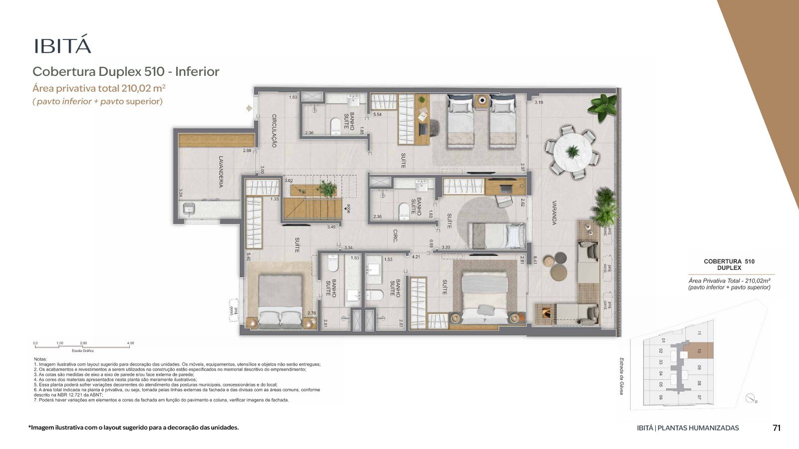 Planta 11