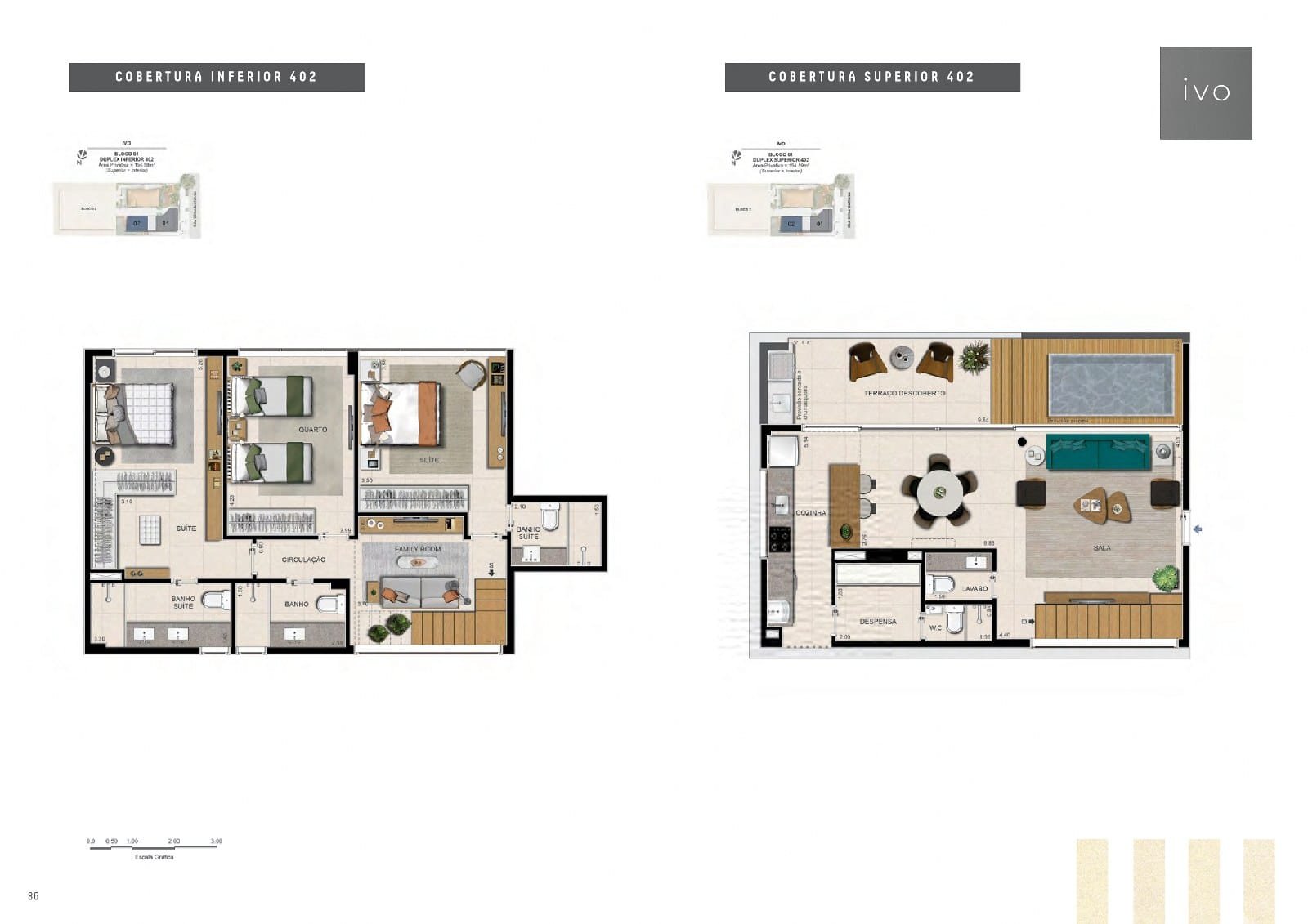 Planta 7