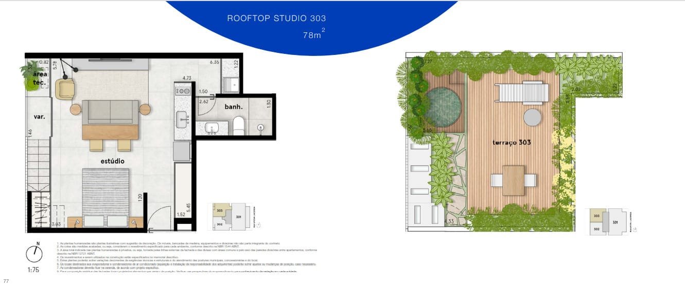 Planta 6