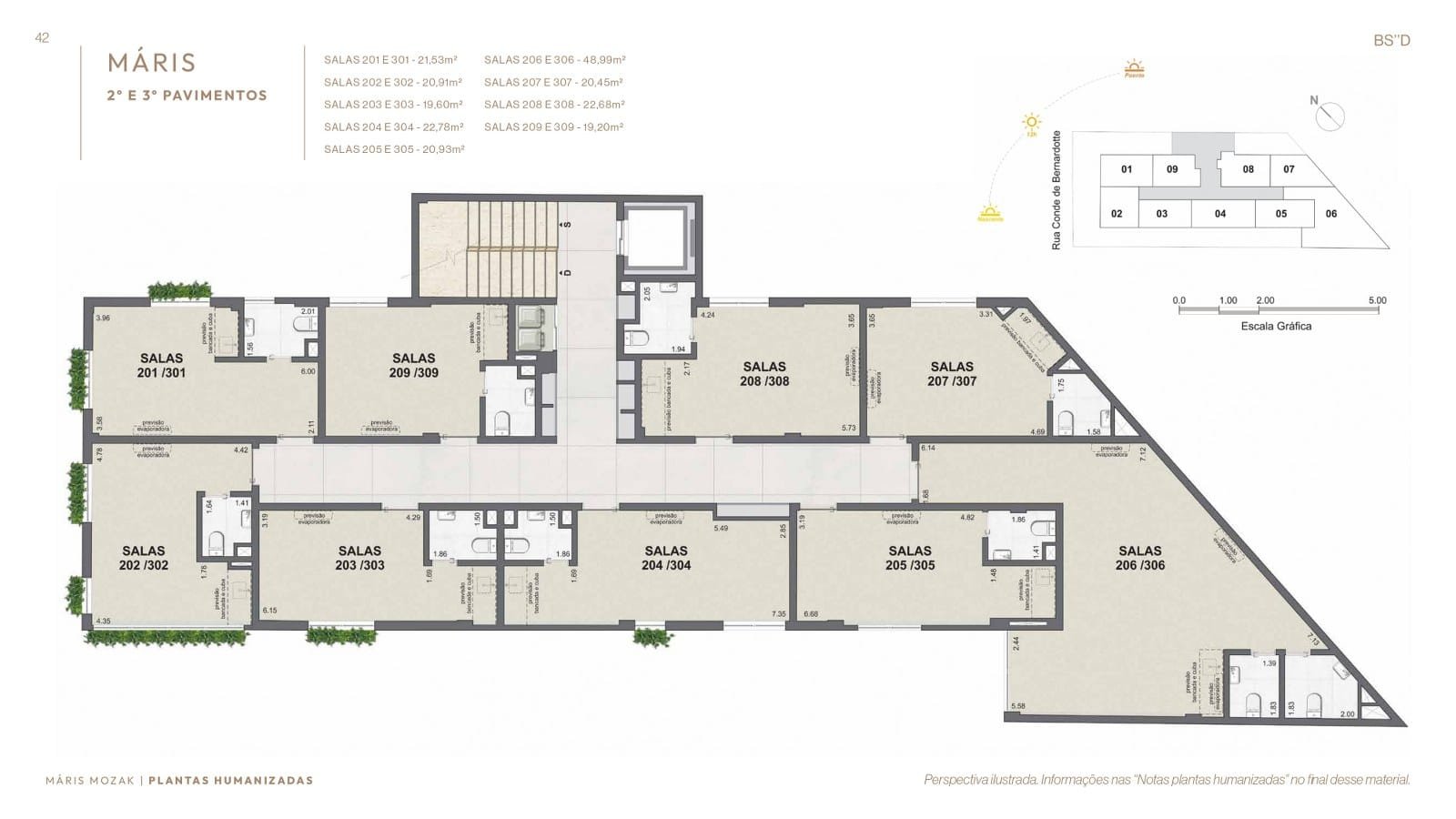 Planta 6
