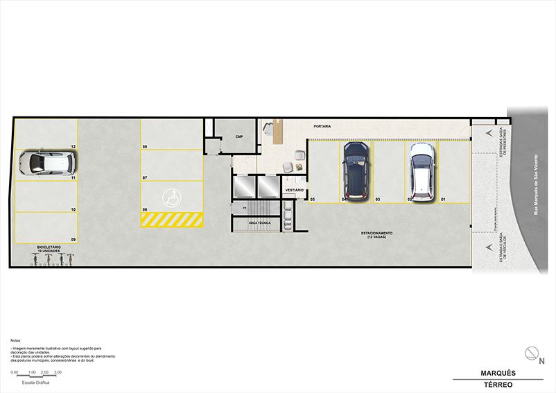 Planta 8
