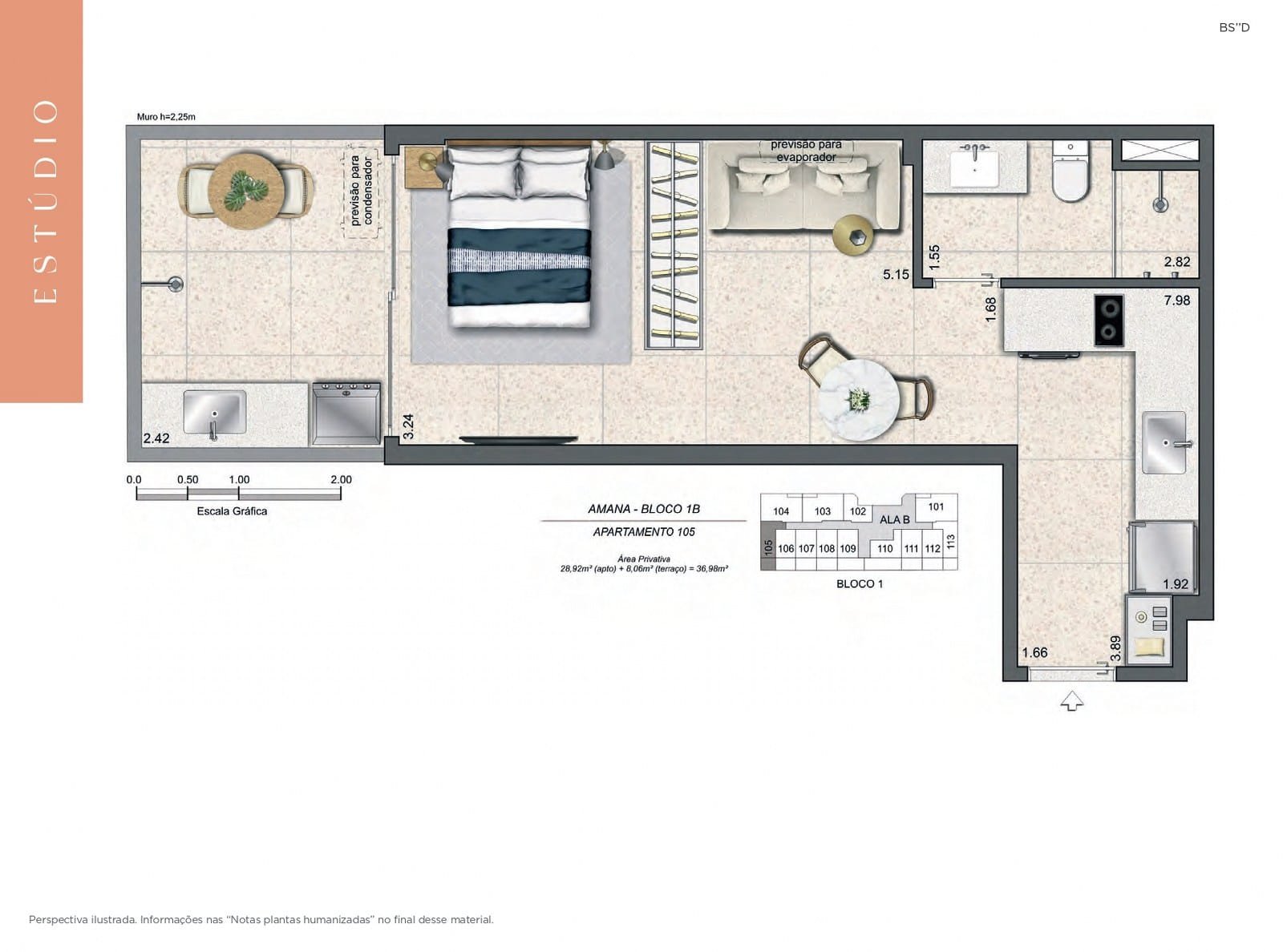 Planta 8