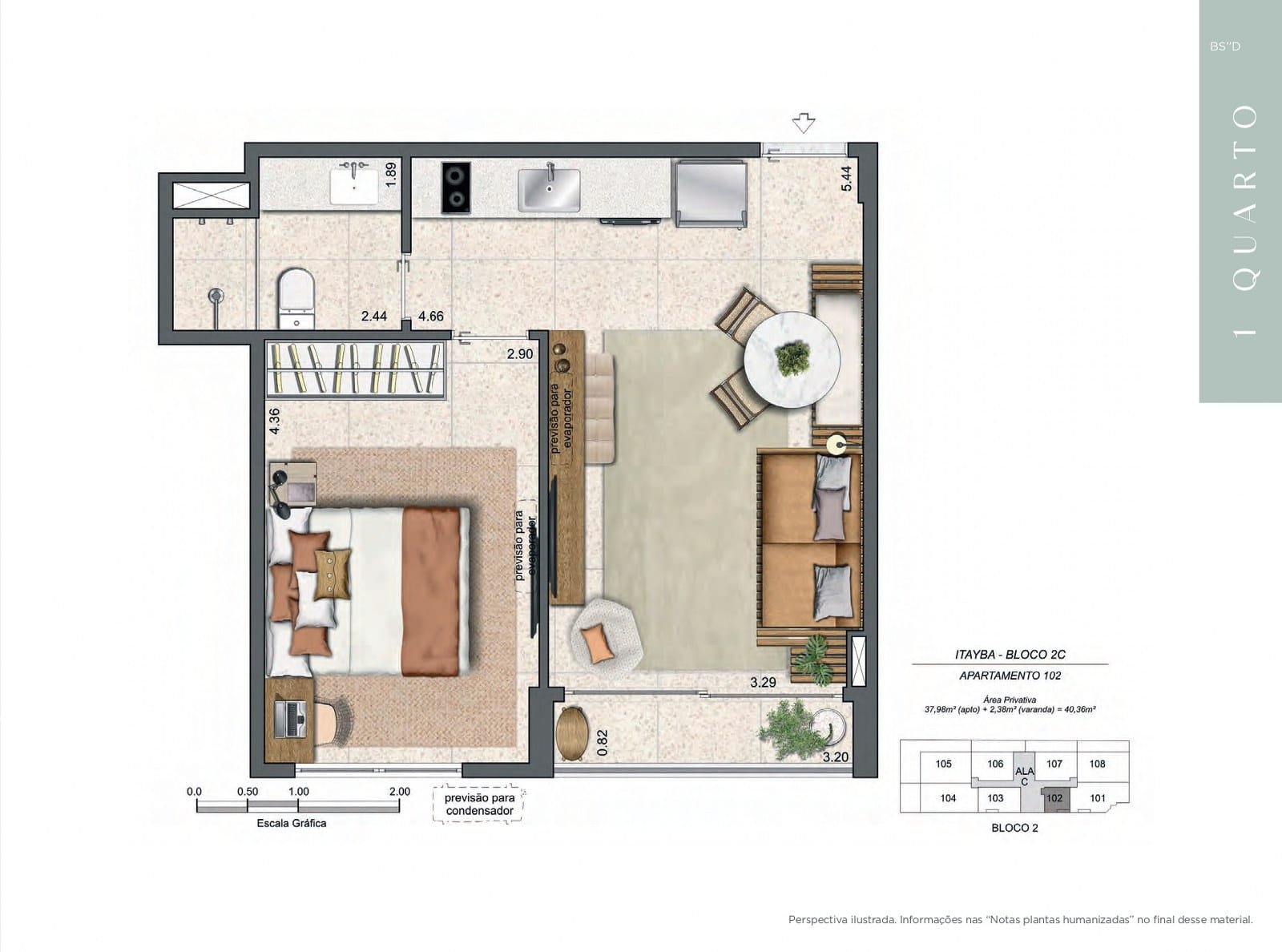 Planta 11