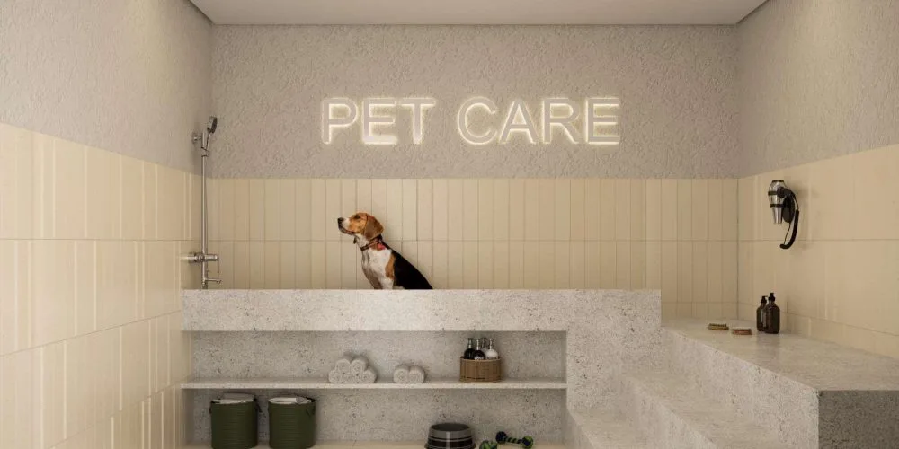Decorado 8