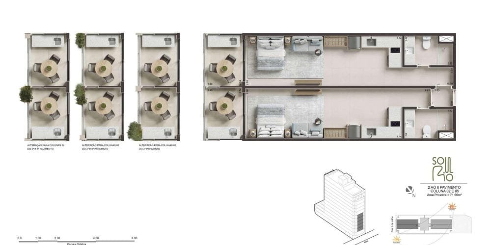 Planta 7