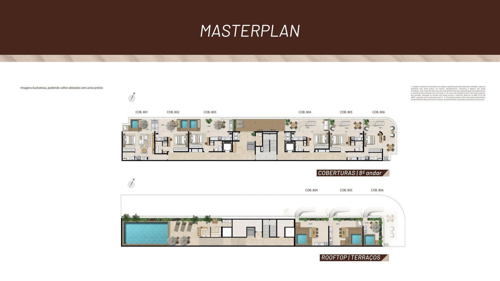 Planta 17