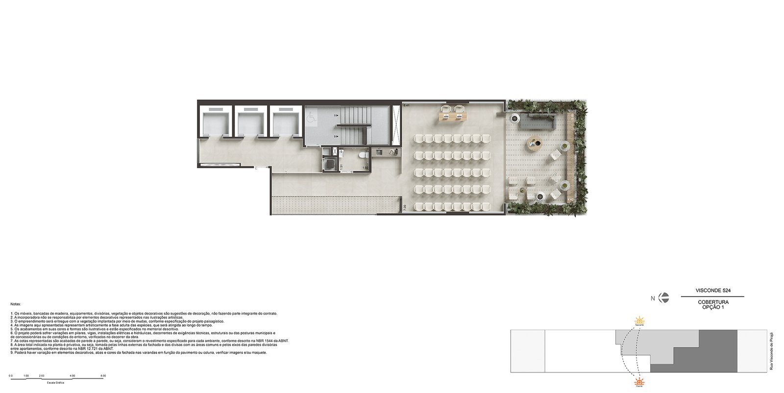 Planta 8