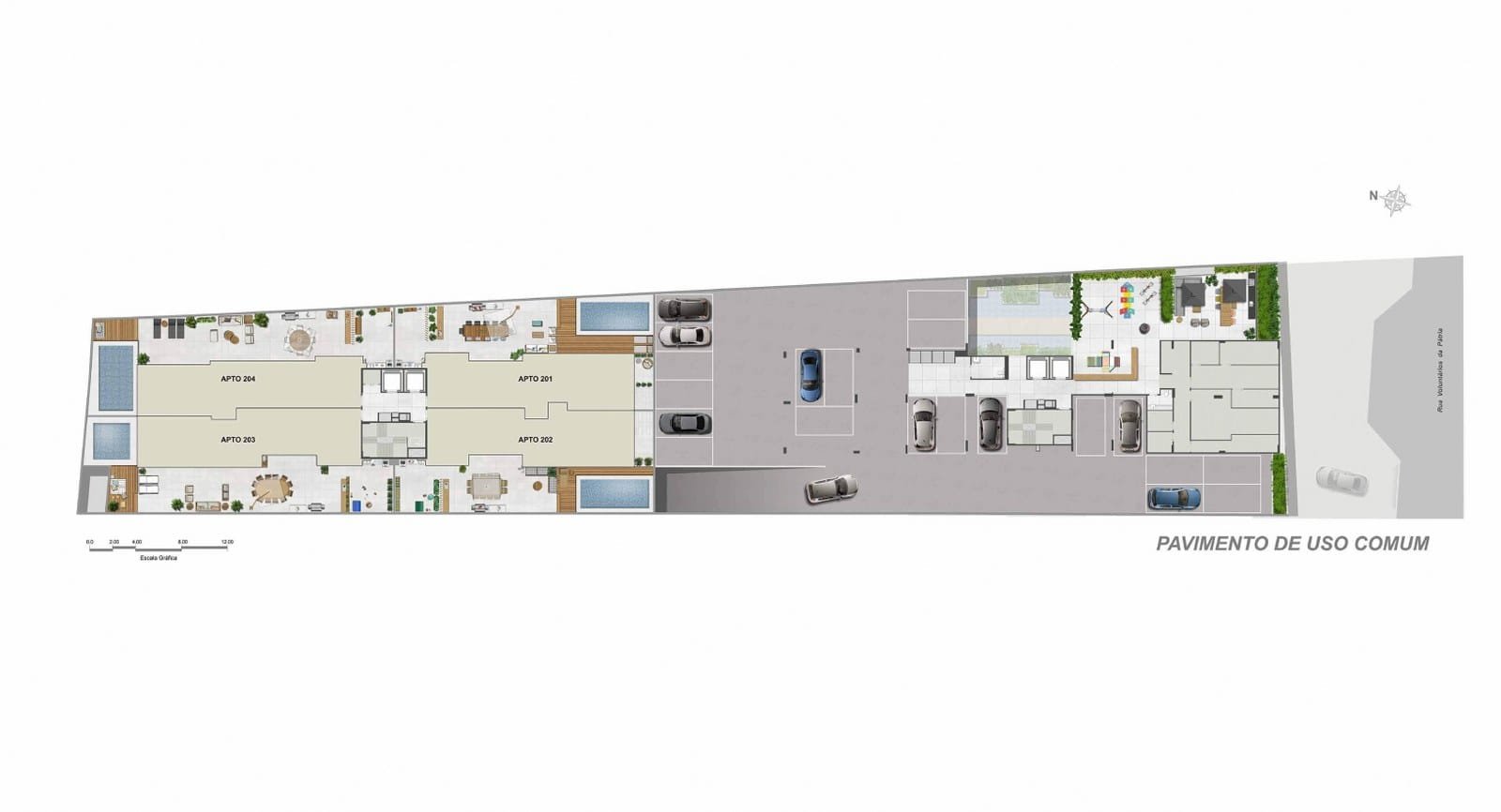 Planta 17
