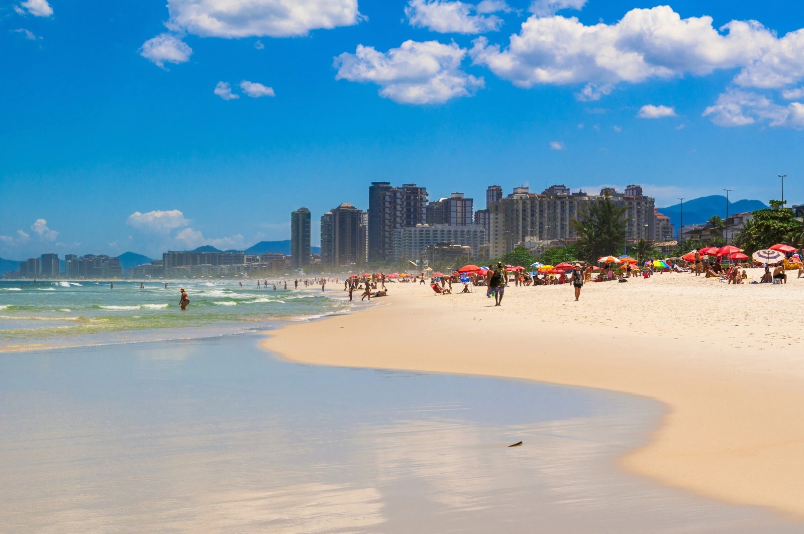 Lançamentos Ave Nuta James - Barra da Tijuca