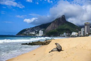 Studios na planta Ipanema perto do Metrô General Osório nov 2025