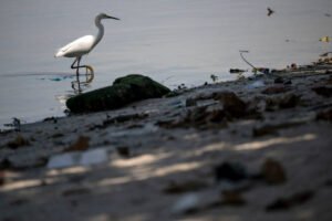 Lançamento residencial na Rua São Clemente Botafogo da FATO 2025