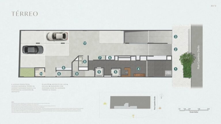 Planta 6