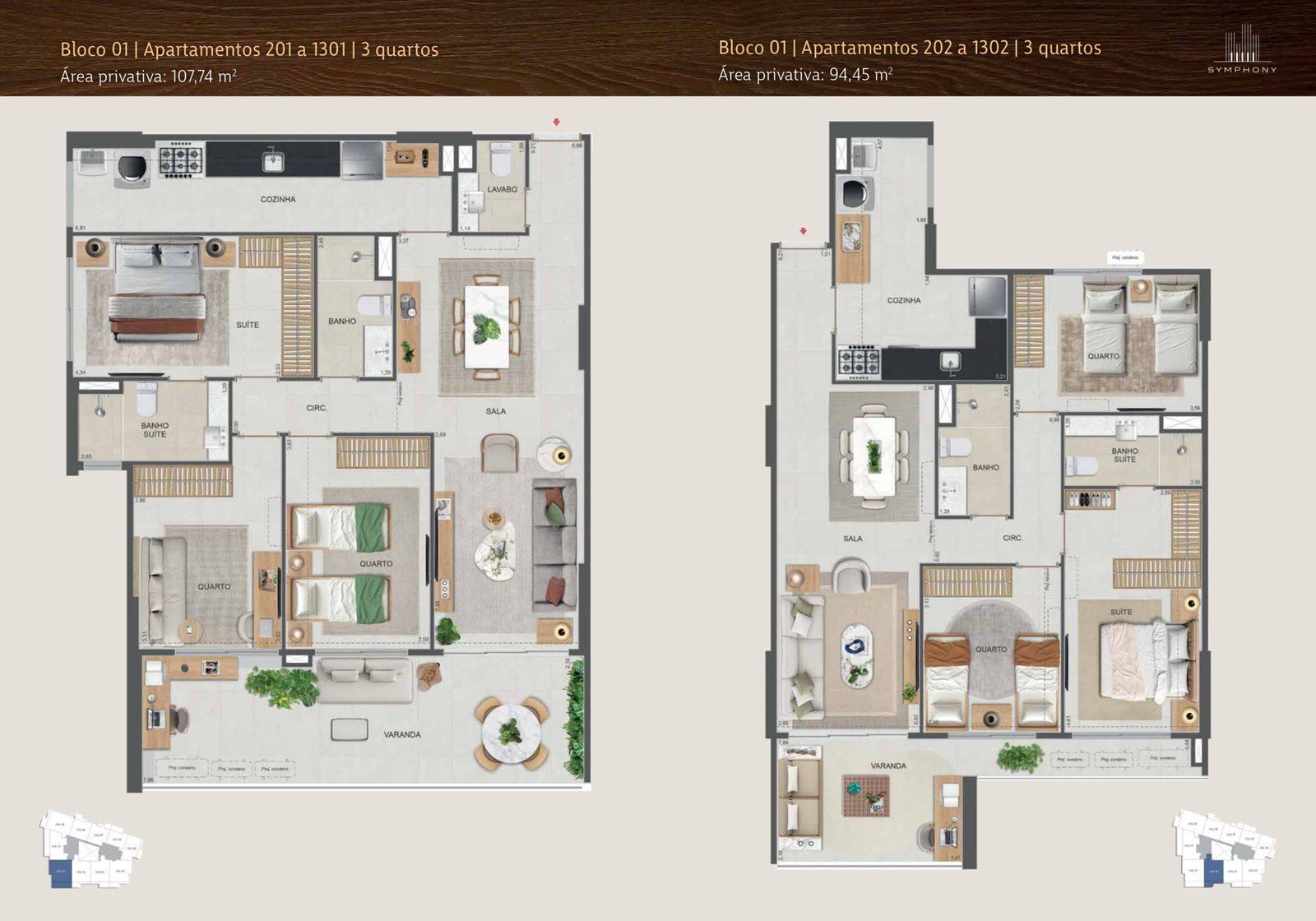 Planta 43