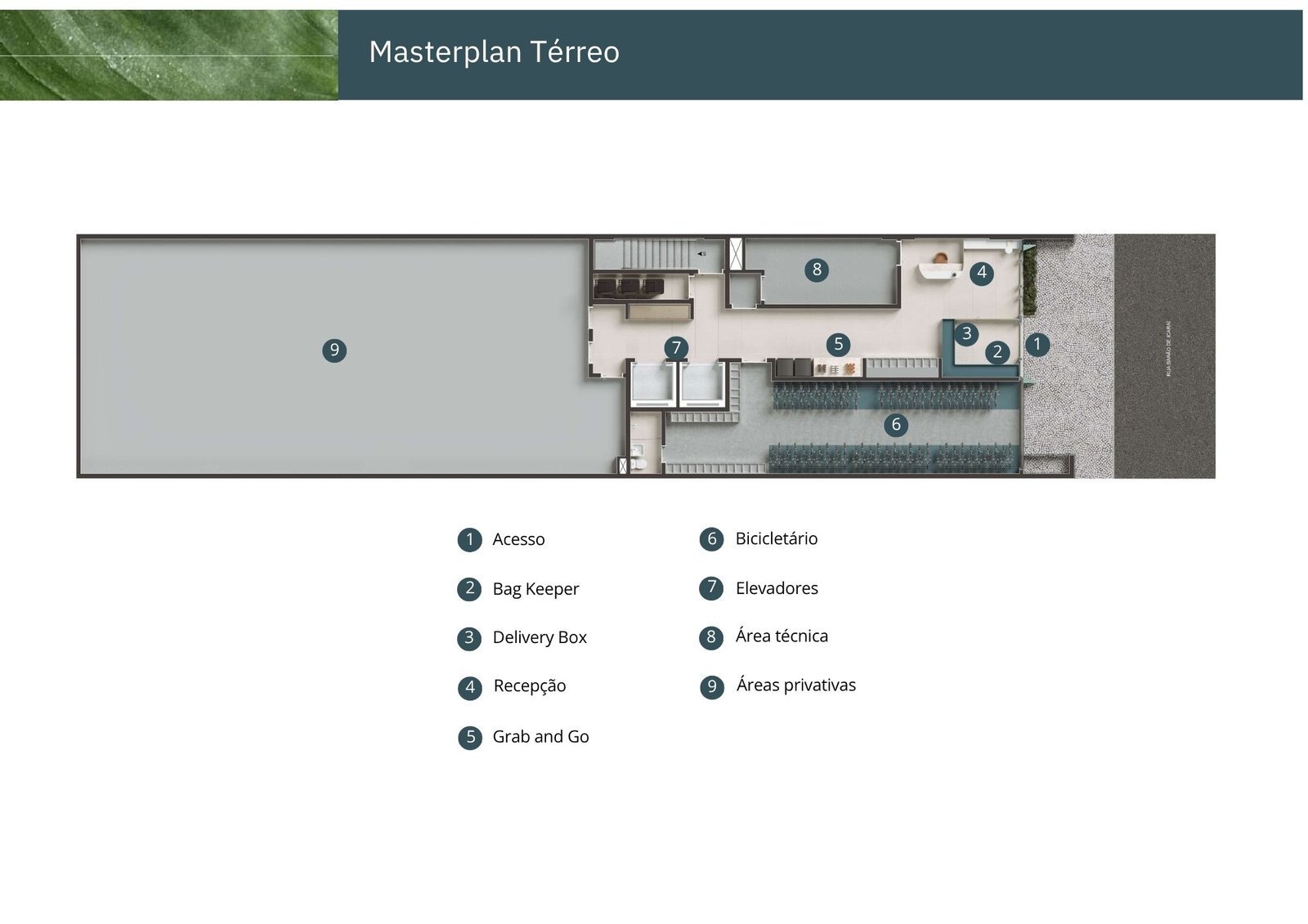 Planta 3