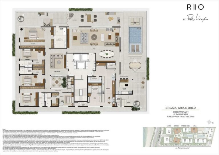 Planta 6